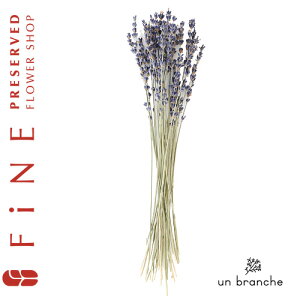 x_[EC^[ vU[uht[ hCt[ ԍ  i` Vv  nhCh CeA  kCeA NX}X I[ig NX}X