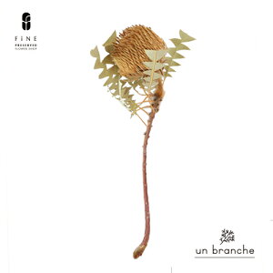 oNV i` vU[uht[ hCt[ Cht[ ԍ ̔  i` Vv  nhCh CeA  kCeA NX}X