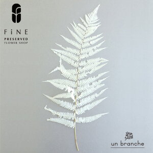 iKV_ i` vU[uht[ hCt[ Cht[ ԍ ̔  i` Vv  nhCh CeA  NX}X I[ig N