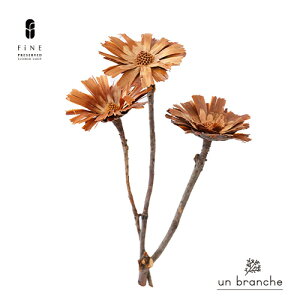 yX[b^N hCt[ Cht[ ԍ ̔  i` Vv  nhCh CeA kCeA zCgCeA NX}X I[ig 