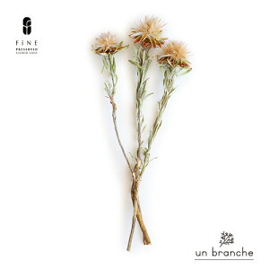 vT hCt[ Cht[ ԍ ̔  i` Vv  nhCh CeA kCeA NX}X I[ig NX}X[X ޗ Be