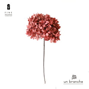 vU[uht[ AWTC i`sN C[Xet ԍ ̔ ԍޔ̔  CeA HF  z NX}X I[ig NX}X[X ޗ yA