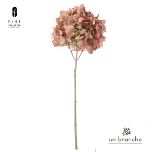 AWTC OfB IKmsN vU[uht[ hCt[ ԍ ̔  i` Vv  nhCh CeA  kCeA NX}X I[i