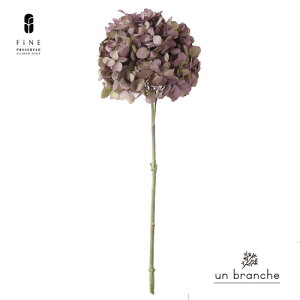 AWTC OfB IKmp[v vU[uht[ hCt[ ԍ ̔  i` Vv  nhCh CeA  kCeA NX}X I[