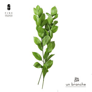 XJXK[f tbVO[@vU[uht[ hCt[ ԍ ̔  i` Vv  nhCh CeA  kCeA NX}X I