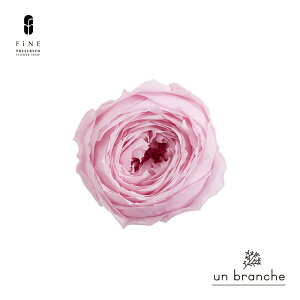 [Y RRbg vU[uht[ hCt[ ԍ ̔  i` Vv  nhCh CeA  kCeA NX}X I[ig NX}X