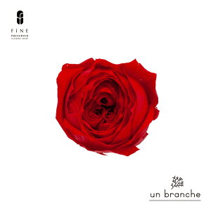 [Y RRbg vU[uht[ hCt[ ԍ ̔  i` Vv  nhCh CeA  kCeA NX}X I[ig NX}X