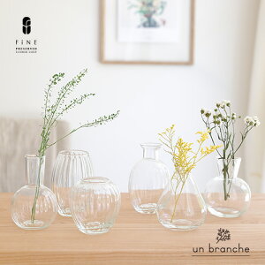 [YKX3Zbg Ԋ AW AWg t[AWg CeA KX ޗ Bep  X  yAuVz