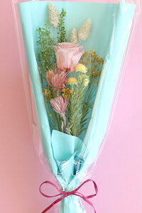 ԑ u[P t[u[P vU[uht[ ʏj ސEj ʉ Cxg  av[g FB a v[g Mtg  hCt[ a