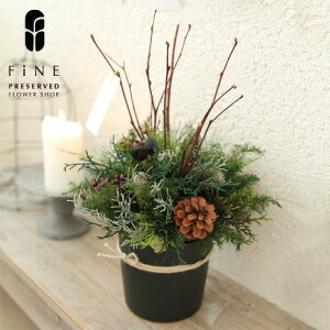 NX}Xc[ l NX}X TpEhDEmGy15̒łyz  k c[  CeAO[ Mtg NX}Xc[ ͂ȂϗtA NX}X 