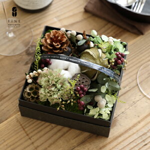 nEB vU[uht[ Mtg nEBBOXAW v[g mg[WbN JXj Vzj ڂ pvL X  fBXvC   ڂ u