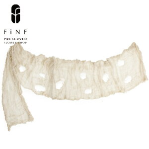 nEB  p[eB CeA EBb`Y[t@ubNnEBG halloween X܃fBXvC Cxg H O O S ^   J{` ڂ u