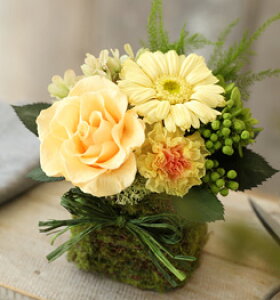 vU[uht[ hV̓  av[g FB a 30 40 50  v[g Mtg  ԑ o 20 30 40 NF  a aj j Fl ޏ  ʏj