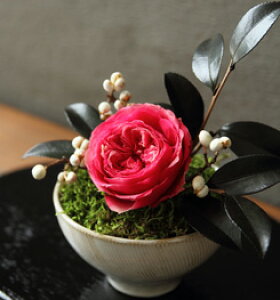 vU[uht[ }t ̉ v[g Mtg   Ԓ a ʏj a ސE c 80  i  җj ËH Ê Ď a j j  50 60 70 9