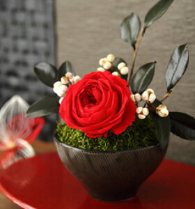 vU[uht[ }t ̉ v[g Mtg   Ԓ a ʏj a ސE c 80  i  җj ËH Ê Ď a j j  50 60 70 9