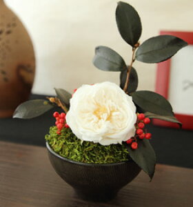 vU[uht[ }t ̉ v[g Mtg   Ԓ a ʏj a ސE c 80  i  җj ËH Ê Ď a j j  50 60 70 9