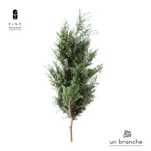 qXM@tbVO[ vU[uht[ hCt[ ԍ  i` Vv  nhCh n[oE NX}X I[ig NX}X[X 