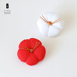 ߂~ g2Zbg [P-1060-10 P-1060-50]