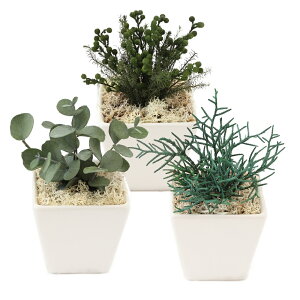 ͂Ȃ ϗtA S4y31Zbgz hV̓  Mtg v[g O[|bg vU[uht[ ̓ ͂Ȃ a JXj   Fl  tFCN 