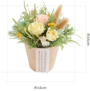 �v���U�[�u�h�t�����[ �M�t�g �� ���� �a�����v���[���g ���F�B �a���� 30 40 50 �� �s���A���[�Y �J�X�j�� �C�G���[ �K�� �a���� �a�����j�� �����j�� �V�z�j�� �c�� 80�� ��