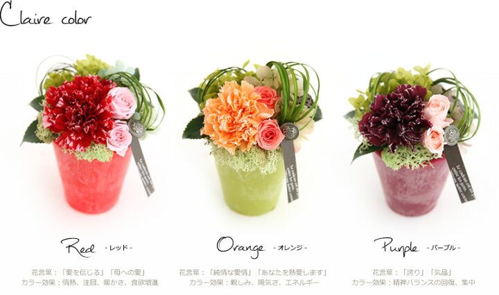 楽天市場 プリザーブドフラワー プレゼント ギフト 花 あす楽15時迄 送料無料クレア 花 アロマ カーネーション 花 プレゼント 誕生日 結婚祝い 内祝い お返し 引越し祝い 退職祝い 送別祝い 有料バッグ S対応 プリザーブドフラワーfine