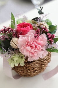 vU[uht[ hV̓  av[g FB a 30 40 50  v[g Mtg  J[l[V ptF aj j oYj LO ʏj