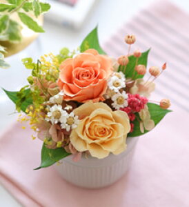 S12 vU[uht[ a a v[g  vtMtg{bNXS aj j җj ʏj ސEj j ybg   30 40 50 60 70 5000