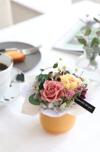 vU[uht[ v[g  NX}Xv[g a 30 40 50  v[g Mtg  J[l[V o bT AWg aj av[g j 