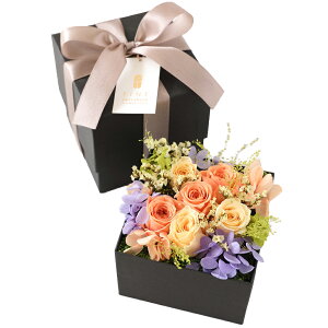 {bNXt[ vU[uht[  av[g FB {bNX Mtg  i[Y j jd d oYj LO ʏj ސEj  ޏ 30 40 50 5000