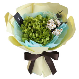 vU[uht[ ԑ  av[g FB a Mtg  tFCobg u[P  e ԑ ʉ ސEj j\ ܏j \ j ʏj