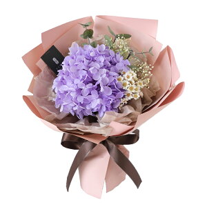 vU[uht[ ԑ  av[g FB a Mtg  tFCobg u[P  e ԑ ʉ ސEj j\ ܏j \ j ʏj