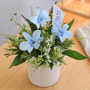 vU[uht[ 䋟  ̉   u[ Mtg 蕨   ybg  d ~ ~  @  ފ  dp  l\ @v N