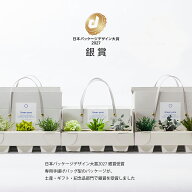 【エントリーでポイント最大20倍】 枯れない 観葉植物 全4種【3個1セット】 ギフト プレゼント グリーン…