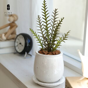 vU[uht[ Mtg v[g  O[[uX vU[uhO[ ͂Ȃ O[ Vzj zj ϗtA    JXj a j 