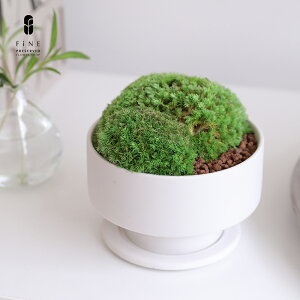 vU[uht[ Mtg v[g  O[[uX vU[uhO[ ͂Ȃ O[ Vzj zj ϗtA    JXj a j 