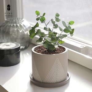 vU[uht[ Mtg v[g  O[[uX vU[uhO[ ͂Ȃ O[ Vzj zj ϗtA    JXj a j 