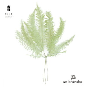 RV_ XvOO[ vU[uht[ hCt[ Cht[ ԍ ̔  i` Vv  nhCh NX}X I[ig NX}X[