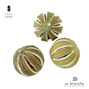 ۂۃC 3 hCt[ Cht[ ԍ ̔  i` Vv  nhCh n[oE jOCeA NX}X I[ig NX}X[