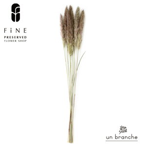 e[[h O[ vU[uht[ hCt[ ԍ  i` Vv  nhCh CeA  kCeA NX}X I[ig NX}X