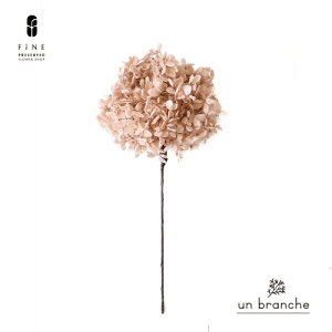 vU[uht[ AWTC Vp C[Xet ԍ ԍ ̔  CeA HF  z NX}X I[ig NX}X[X ޗ Bep  X 