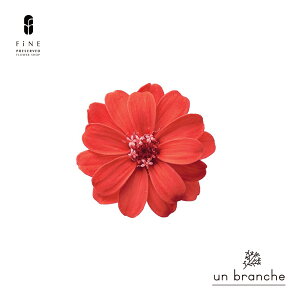 WjA vU[uht[ hCt[ ԍ ̔  i` Vv  nhCh CeA  kCeA NX}X I[ig NX}X[X ޗ