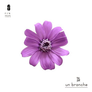 WjA vU[uht[ hCt[ ԍ ̔  i` Vv  nhCh CeA  kCeA NX}X I[ig NX}X[X ޗ