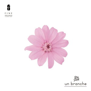 WjA vU[uht[ hCt[ ԍ ̔  i` Vv  nhCh CeA  kCeA NX}X I[ig NX}X[X ޗ