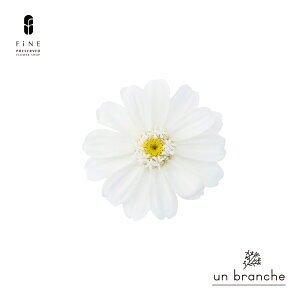 WjA vU[uht[ hCt[ ԍ ̔  i` Vv  nhCh CeA  kCeA NX}X I[ig NX}X[X ޗ