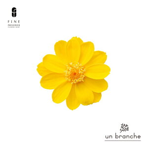 WjA vU[uht[ hCt[ ԍ ̔  i` Vv  nhCh CeA  kCeA NX}X I[ig NX}X[X ޗ