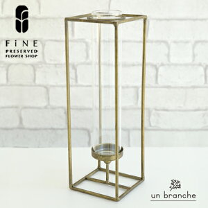 Norns mԊ AW AWg t[AWg mg[CeA