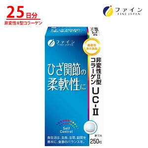 @\\Hi ϐ II^ 2^ R[Q UC-II UC-2 { g Ƃ RhC` ܗL ORT~ G Ђ ֐ NHi t@C