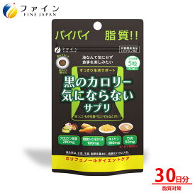 【24日からP5倍】黒のカロリー気にならない サプリ 30日分 クロロゲン酸 類 発酵 黒 ウーロン茶 エキス キトサン 100mg 竹炭 配合 カロリー カット系 脂質 カロリー気にならない ダイエット サポート 糖質 低 ゼロ 制限 オフ 食べ過ぎ 飲みすぎ サプリメント 送料無料