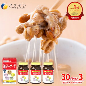 [ Li[[ [3Zbg] PZ` GLX [Li[[  jjNGLX z 18/240 Tv t@C   pE_[ 4000FU  _CGbg T|[g [ 哤 N 