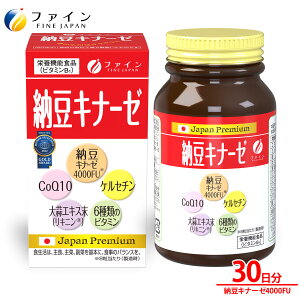 y111:59܂P10z [ Li[[ PZ` [Li[[  jjNGLX z 30 Tv Tvg t@C   pE_[ 4000FU _CGbg T|[g [ 哤 N natto